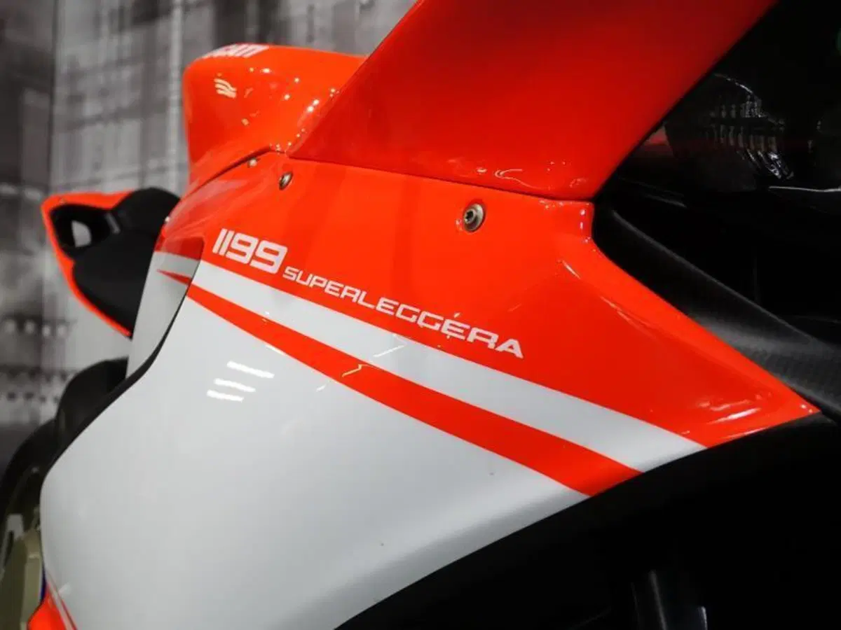 Ducati 1199 Panigale R ABS (2013 - 17) (9)