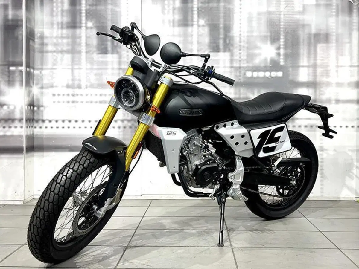 Fantic Motor Caballero 125 Flat Track (2021 - 24) (7)