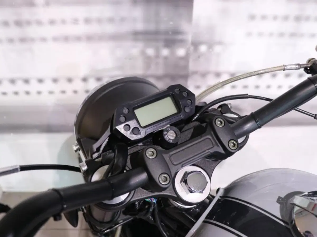 Mash Italia Dirt Track 650 (2019 - 20) (6)
