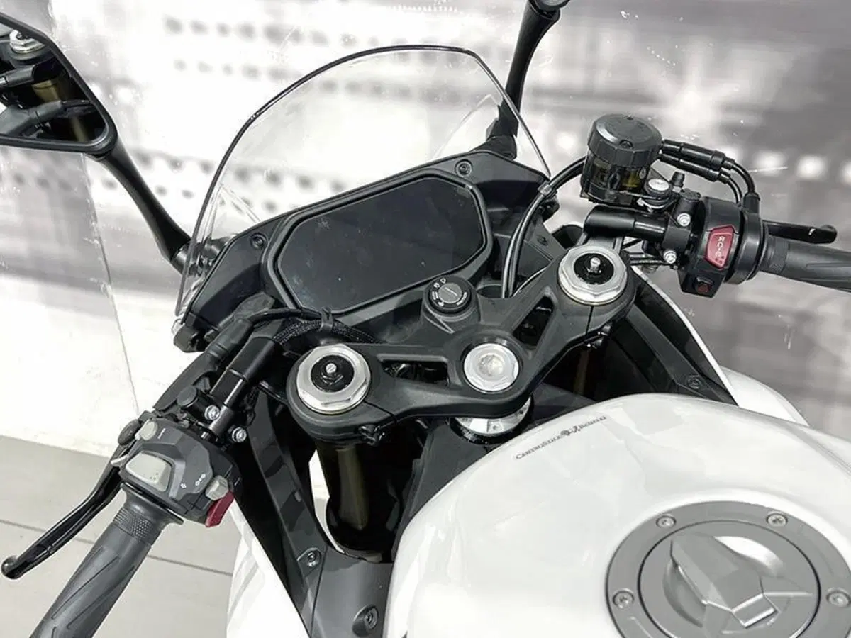 Benelli Tornado 550 (2025 - 26) (6)