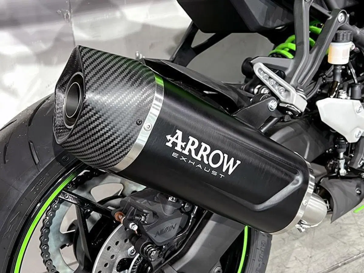 Kawasaki Ninja ZX-4RR (2024 - 26) (9)