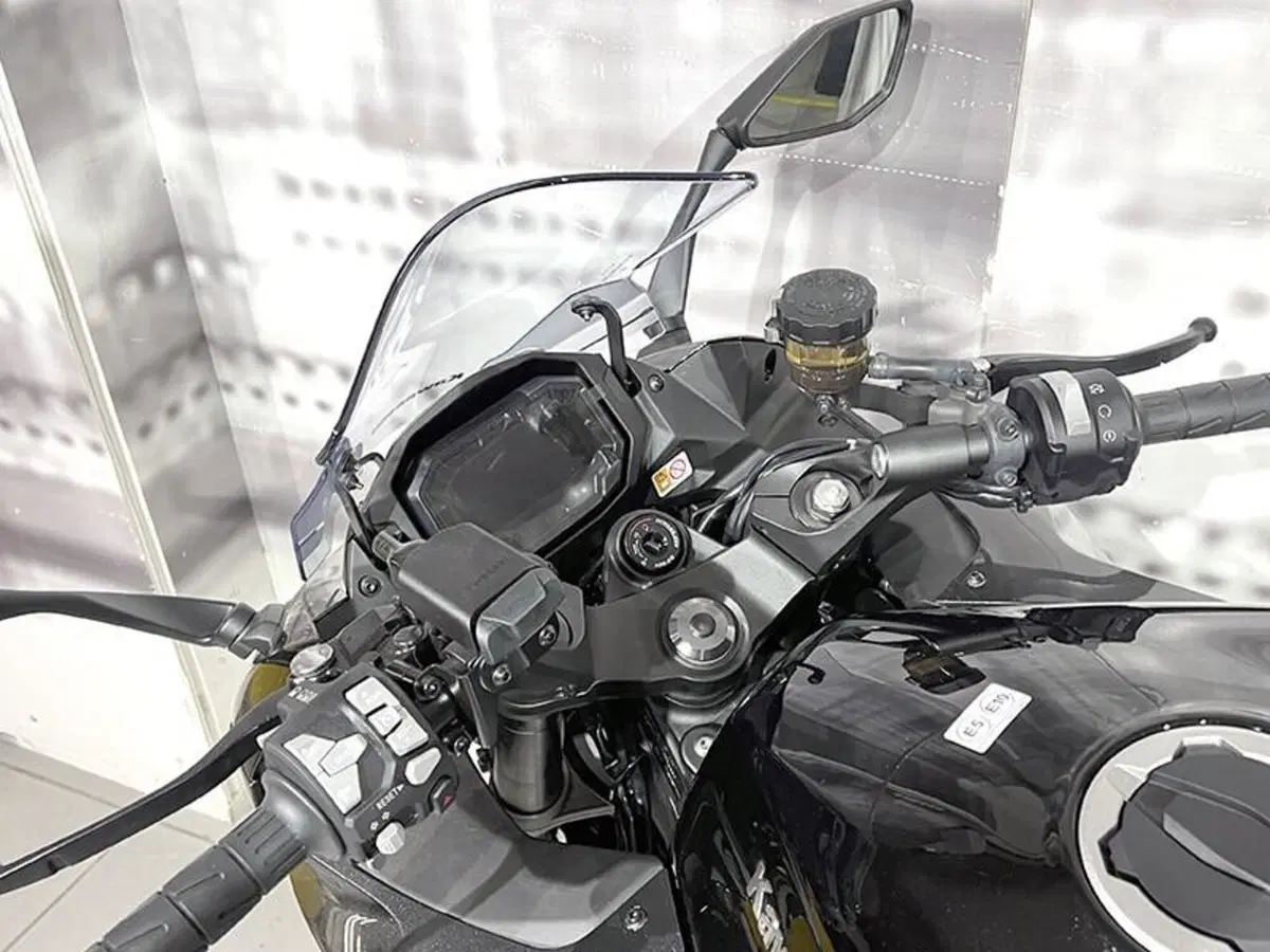 Kawasaki Ninja 1100 SX (2025 - 26) (6)