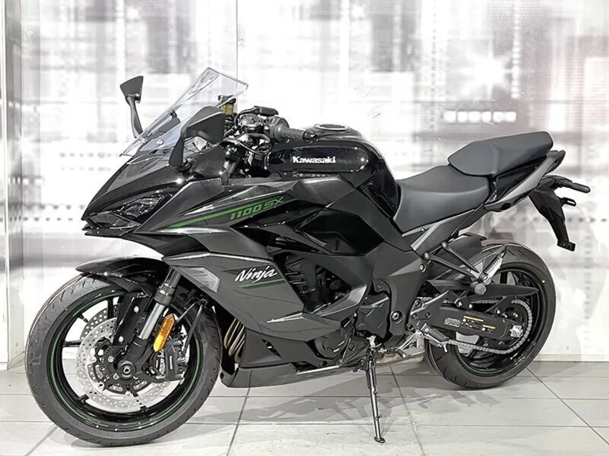 Kawasaki Ninja 1100 SX (2025 - 26) (7)