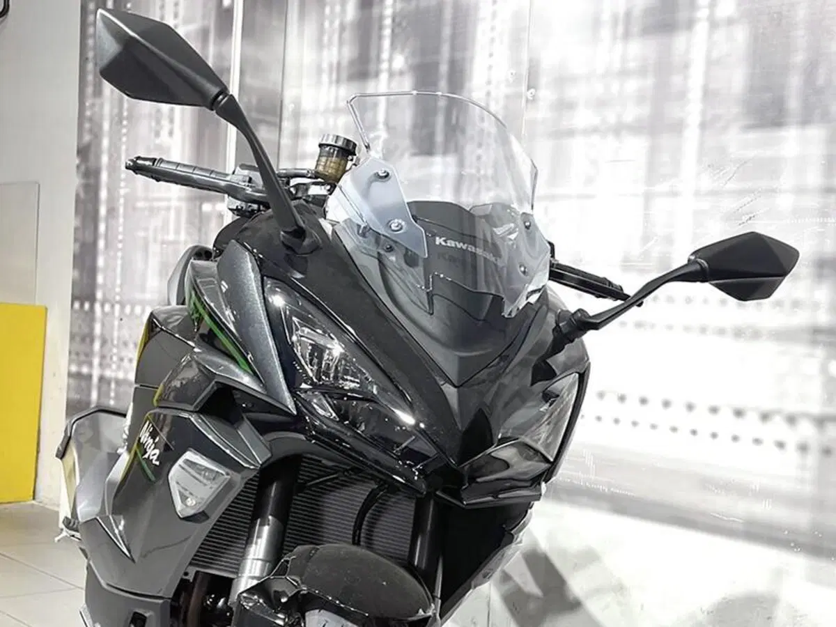Kawasaki Ninja 1100 SX (2025 - 26) (9)