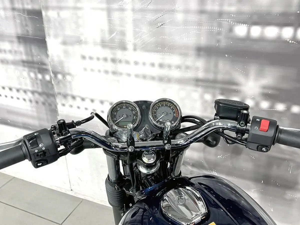 Kawasaki W 230 (2025 - 26) (6)