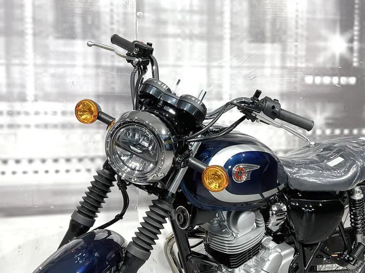 Kawasaki W 230 (2025 - 26) (9)
