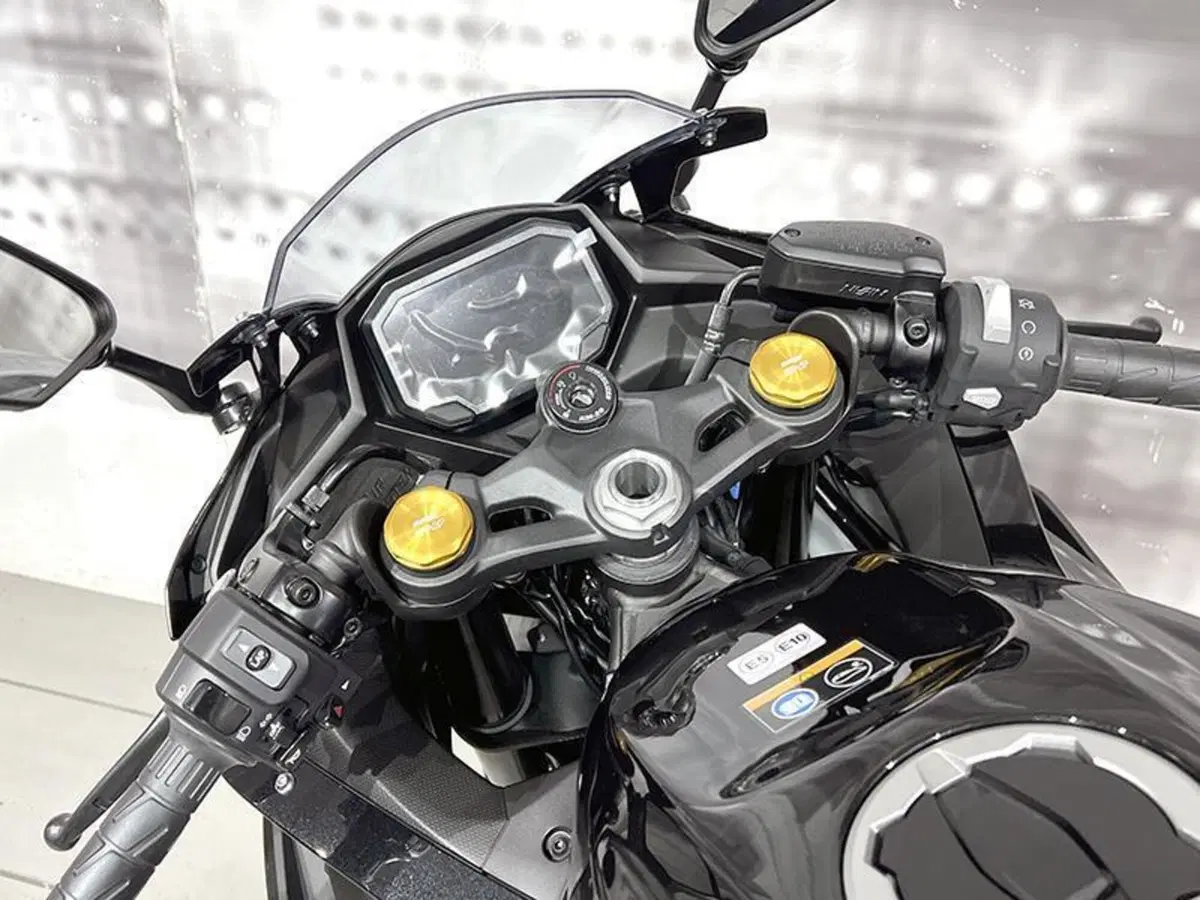 Kawasaki Ninja ZX-4R (2024 - 26) (6)