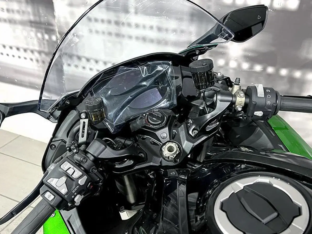 Kawasaki Ninja H2 SX SE (2023 - 26) (6)