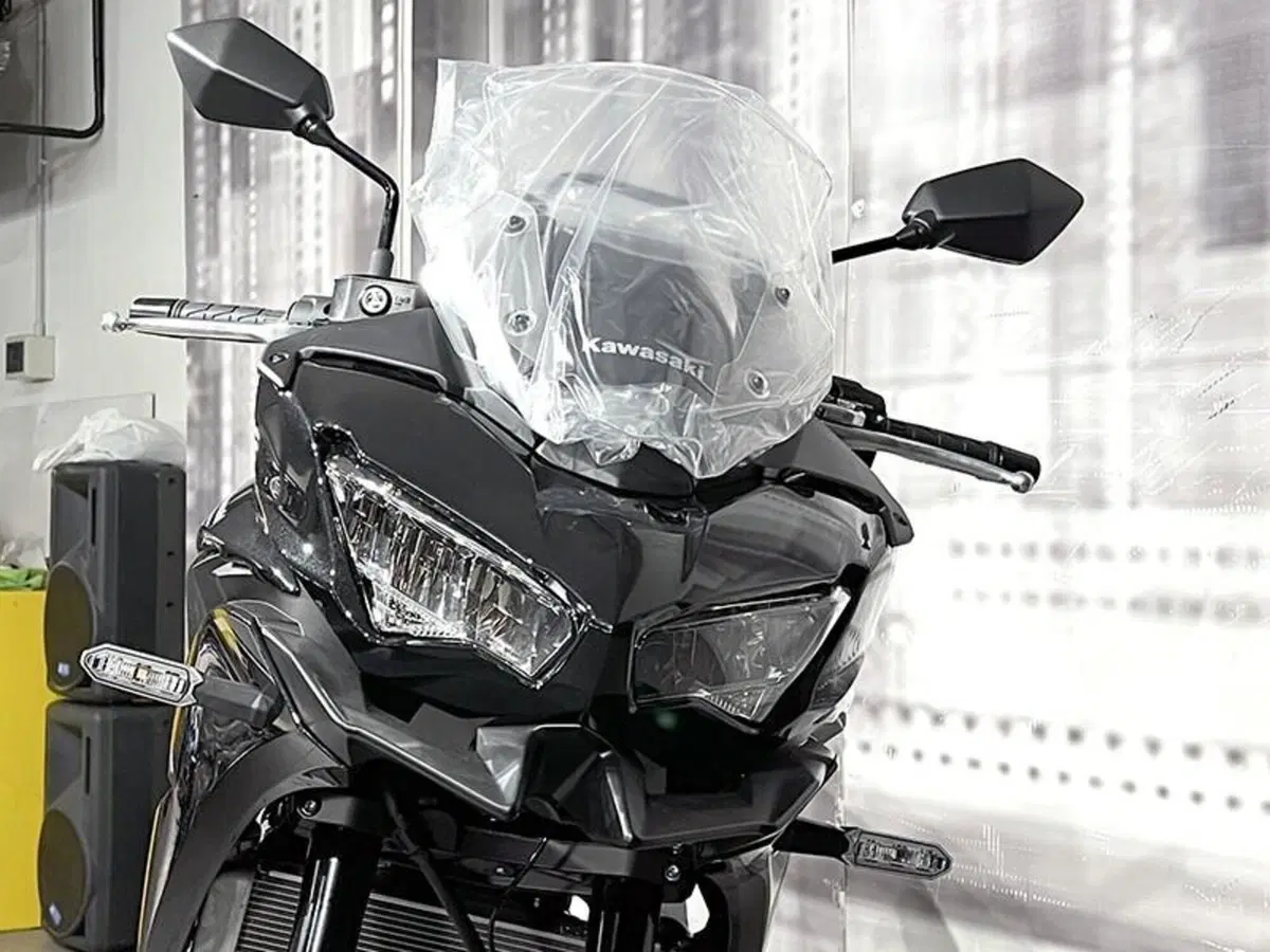 Kawasaki Versys 650 (2025 - 26) (8)