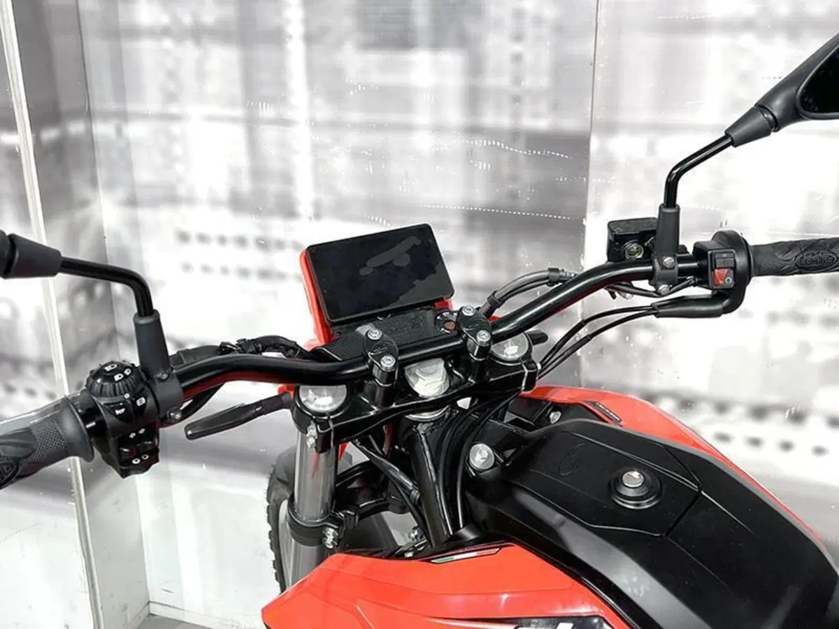 Betamotor Alp 4.0 (2024 - 26) (6)