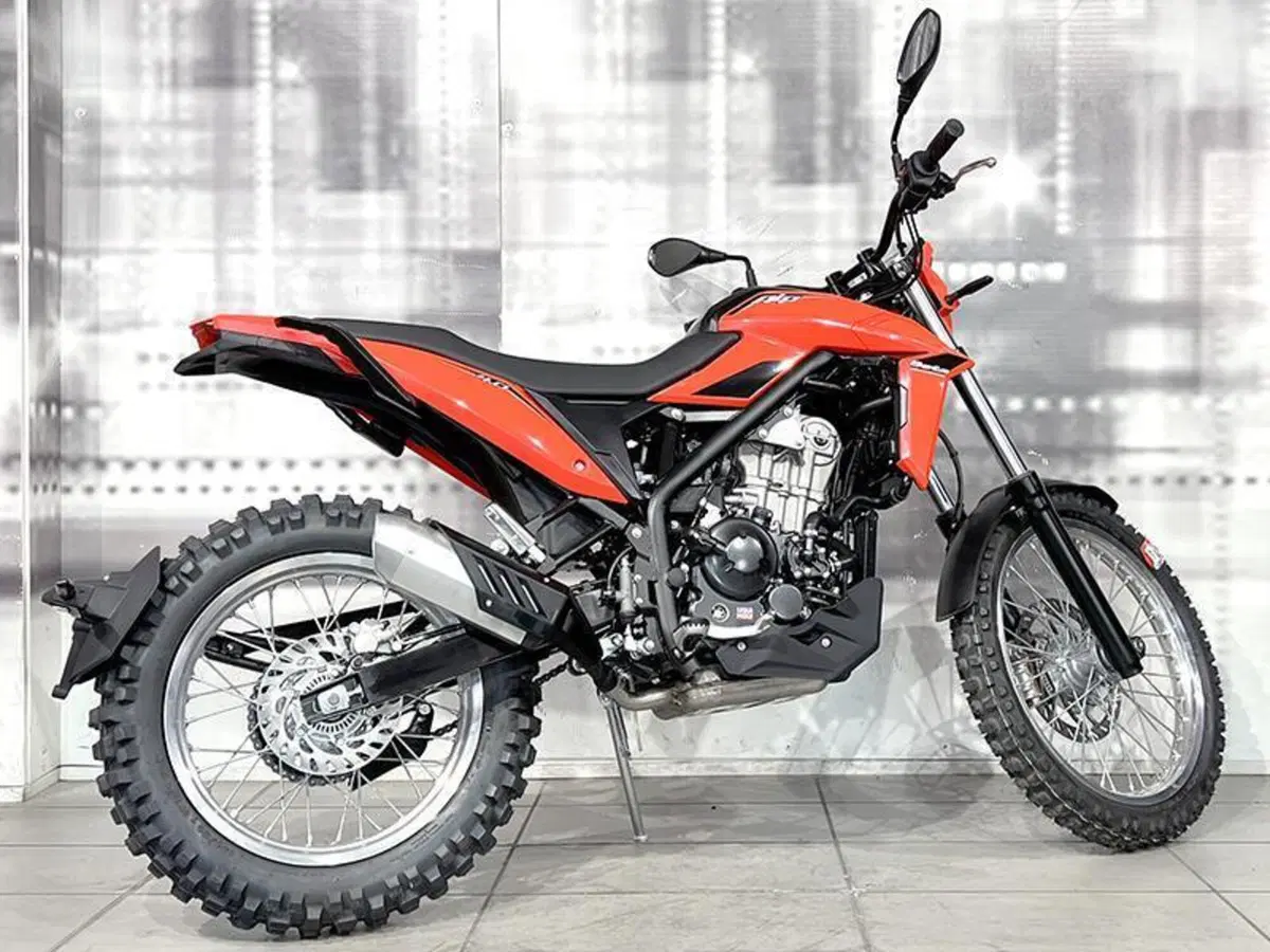 Betamotor Alp 4.0 (2024 - 26) (8)