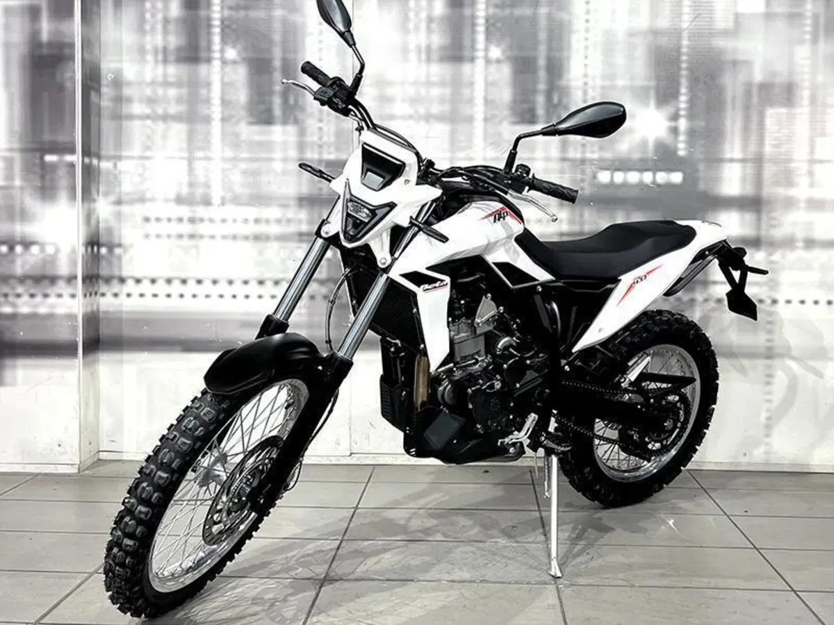 Betamotor Alp 4.0 (2024 - 26) (7)