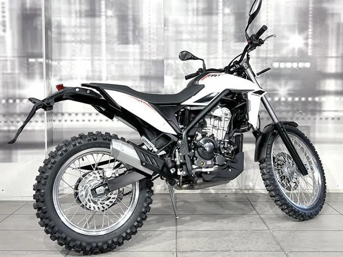 Betamotor Alp 4.0 (2024 - 26) (8)
