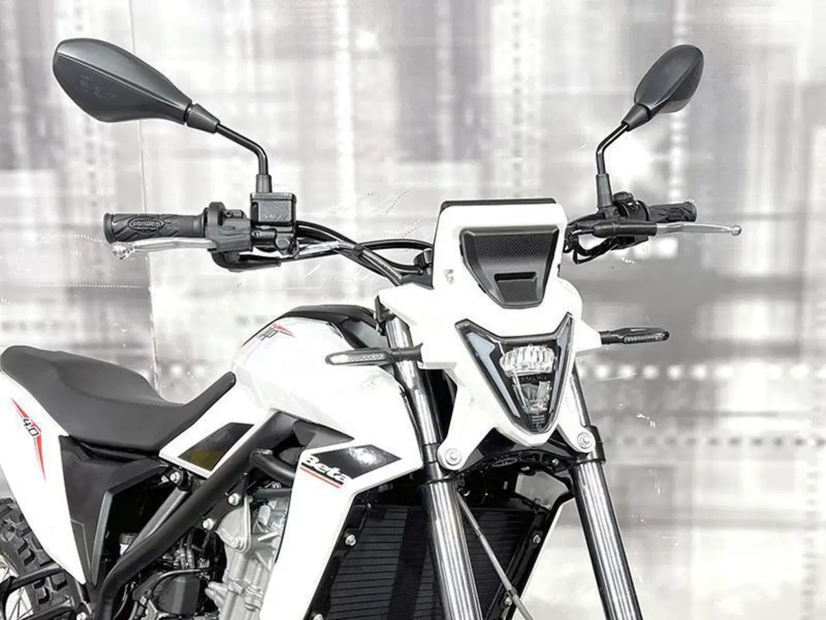 Betamotor Alp 4.0 (2024 - 26) (9)