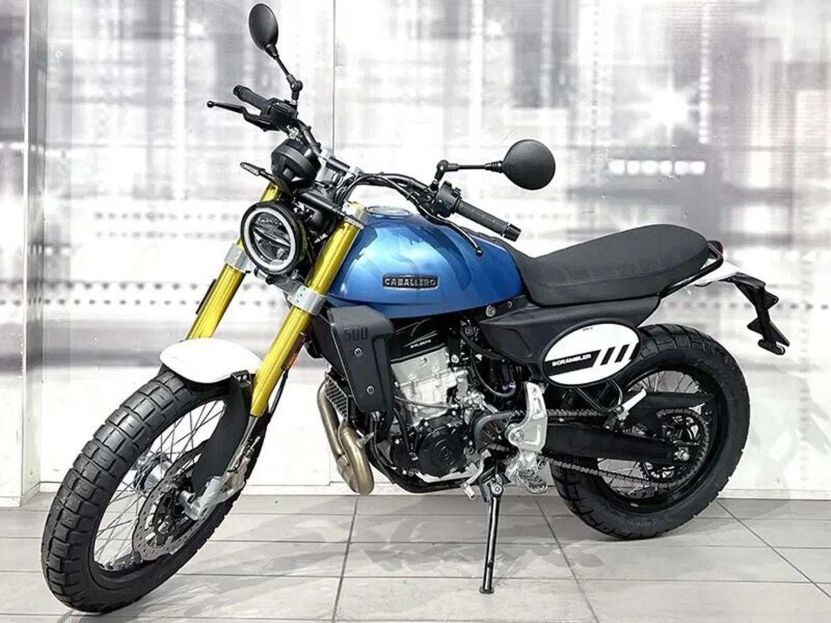 Fantic Motor Caballero 500 Scrambler (2025 - 26) (6)