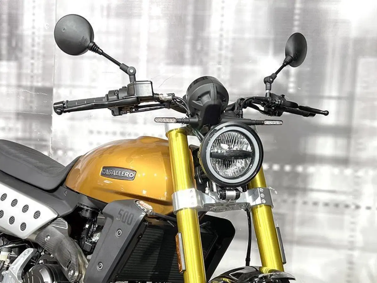 Fantic Motor Caballero 500 Deluxe (2025 - 26) (9)
