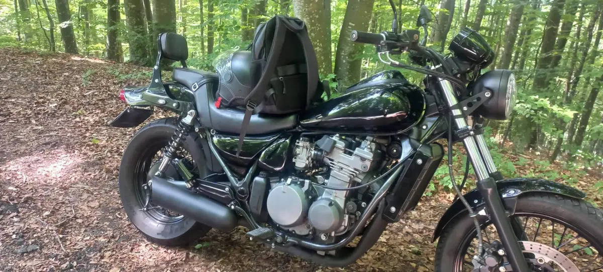 Kawasaki Eliminator 500 (2024 - 26) (3)