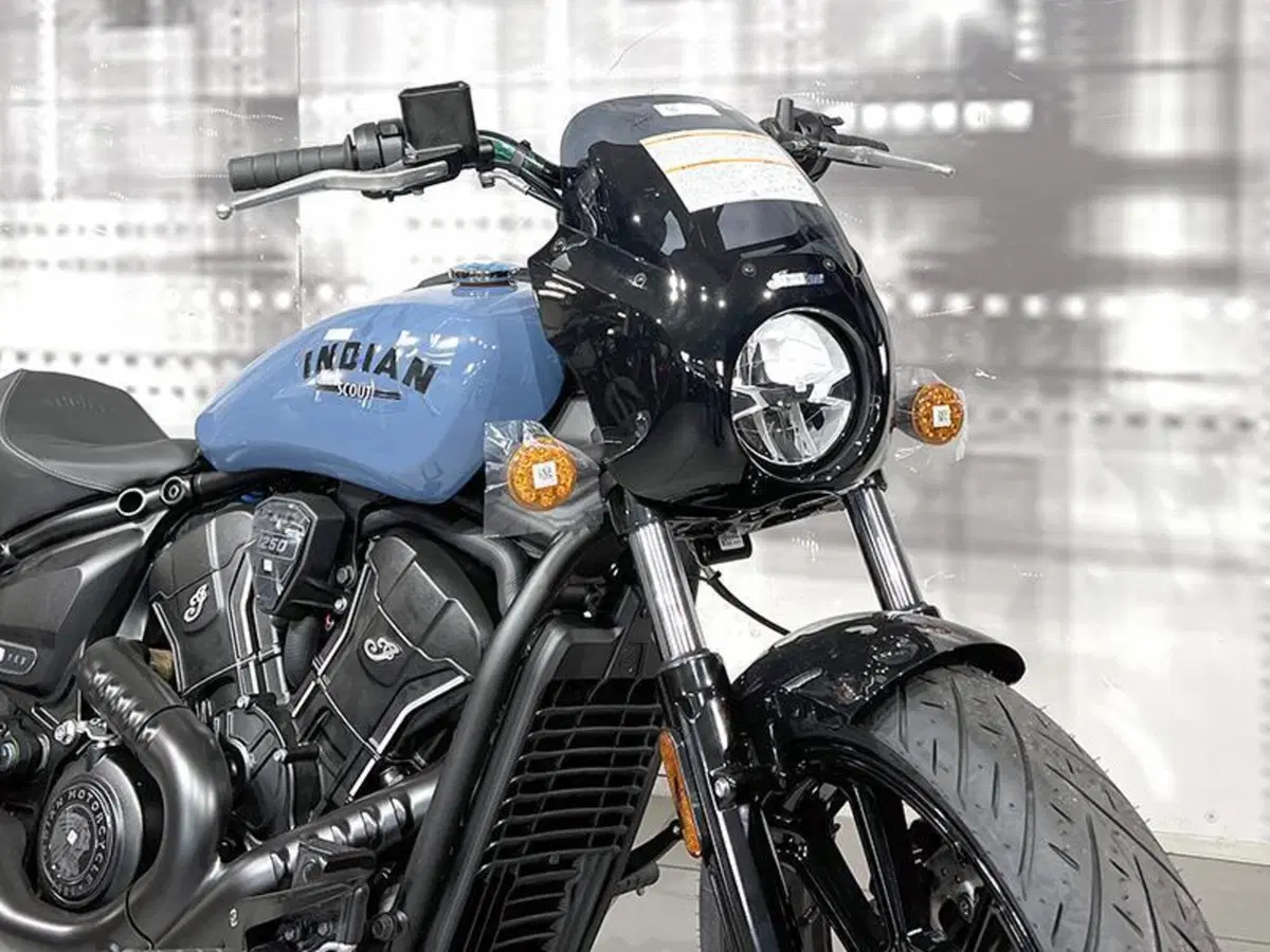 Indian FTR 1200 Sport (2022 - 25) (9)