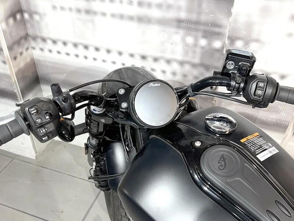 Indian Scout 1133 (2021 - 25) (6)