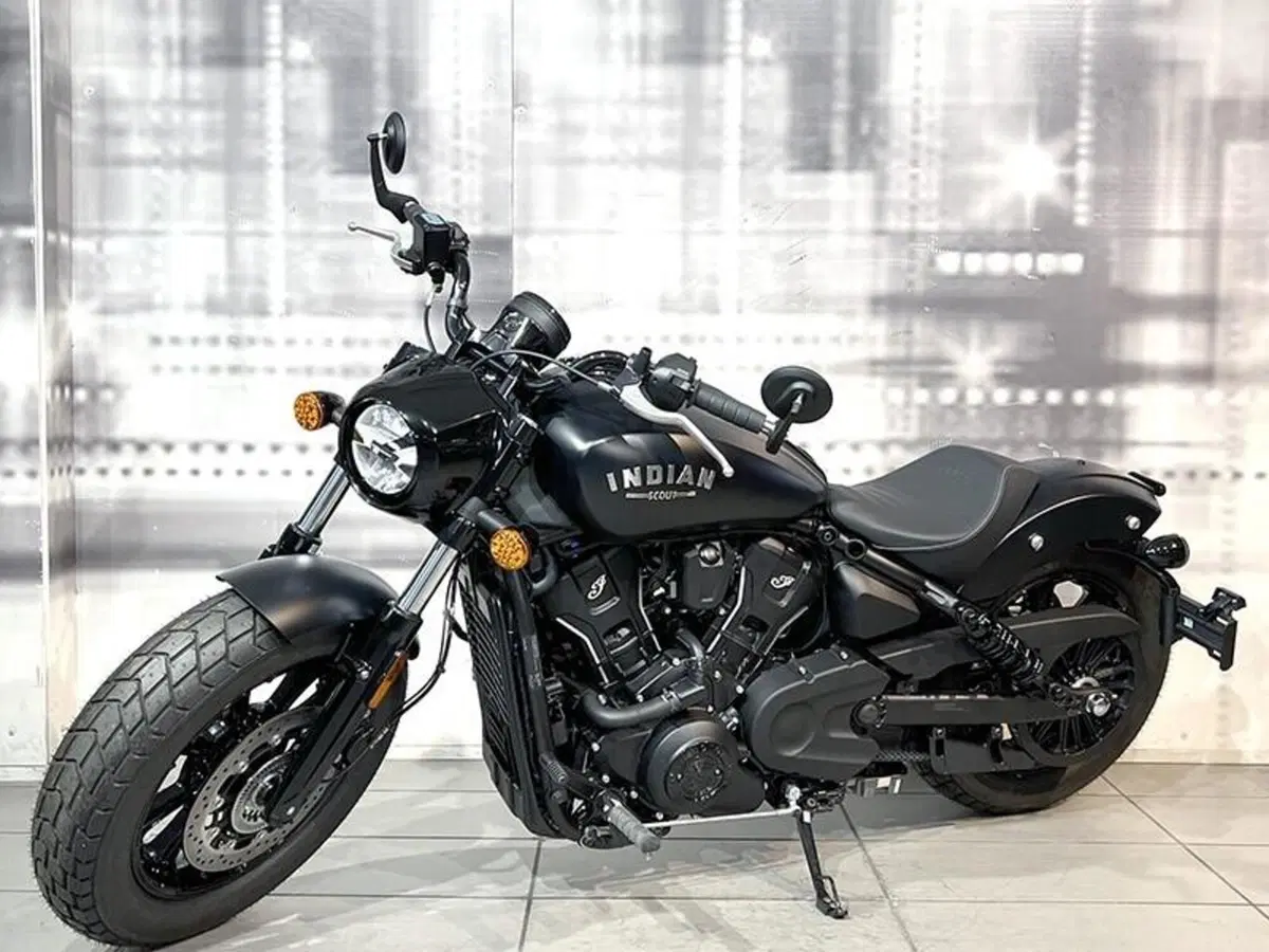 Indian Scout 1133 (2021 - 25) (7)