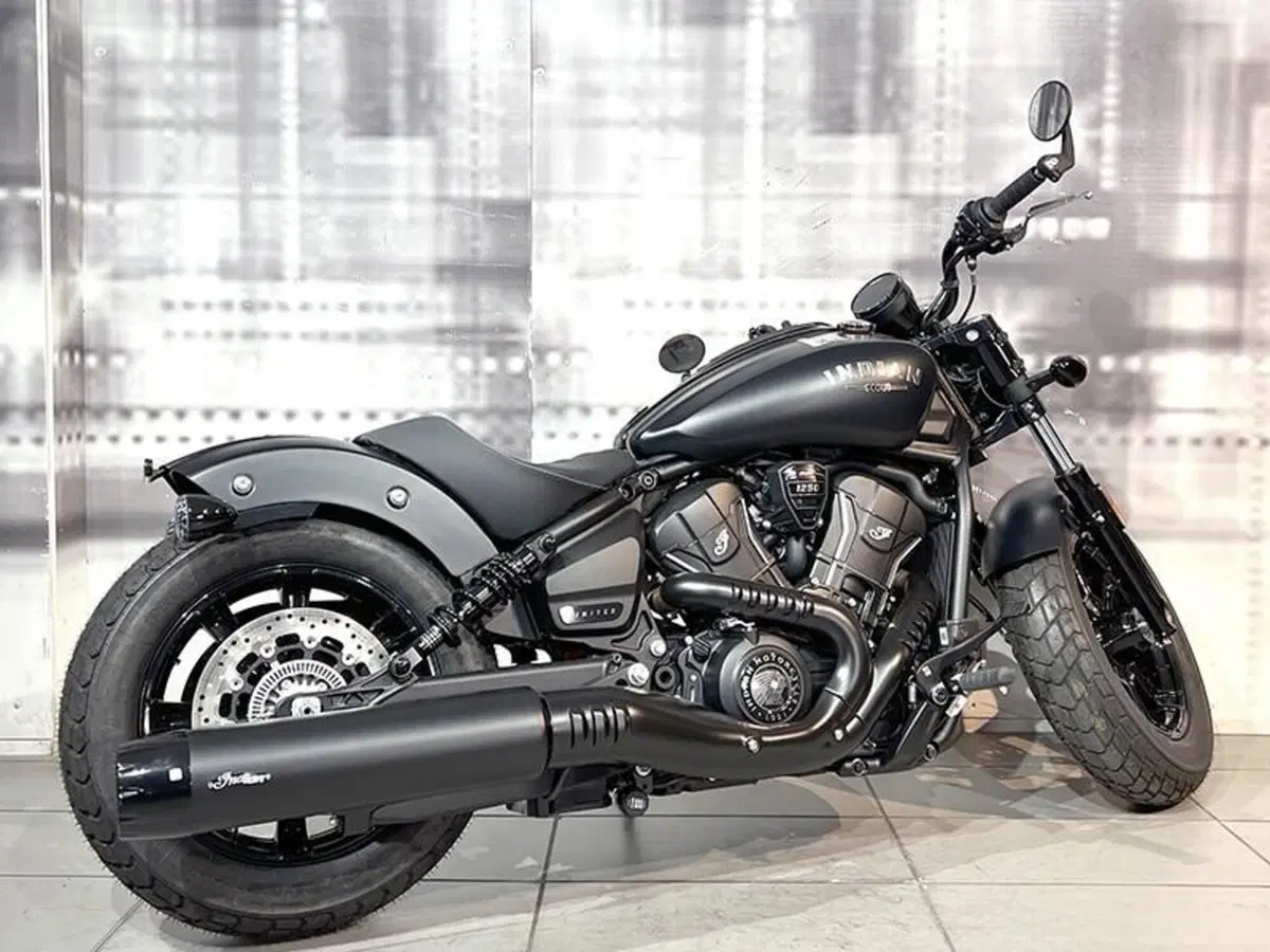 Indian Scout 1133 (2021 - 25) (8)