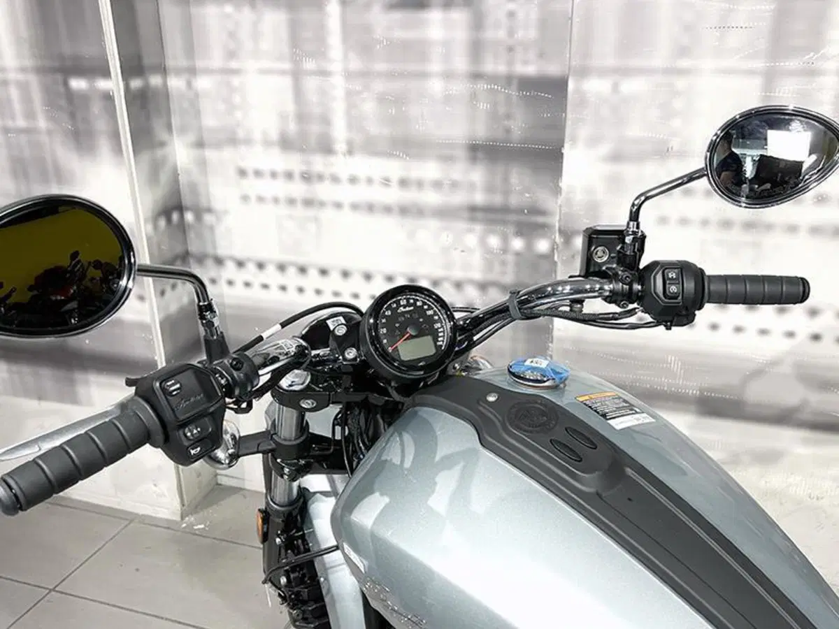 Indian Scout 1133 (2021 - 25) (6)
