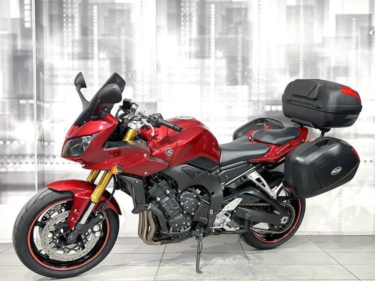 Yamaha FZ1 Fazer (2006 - 16) (6)
