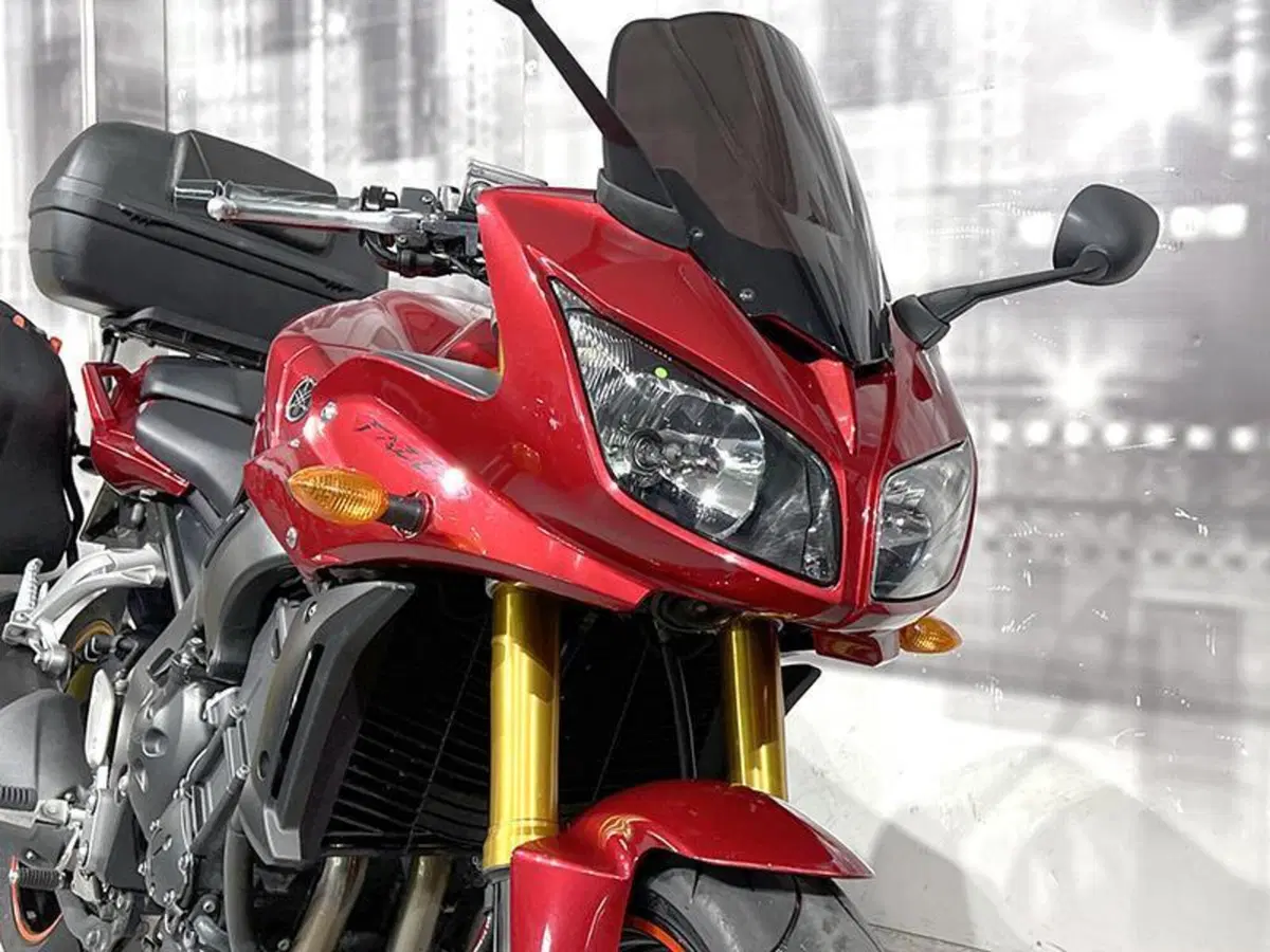 Yamaha FZ1 Fazer (2006 - 16) (8)
