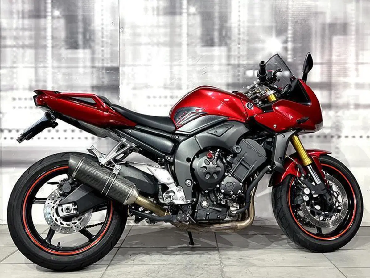 Yamaha FZ1 Fazer (2006 - 16) (8)