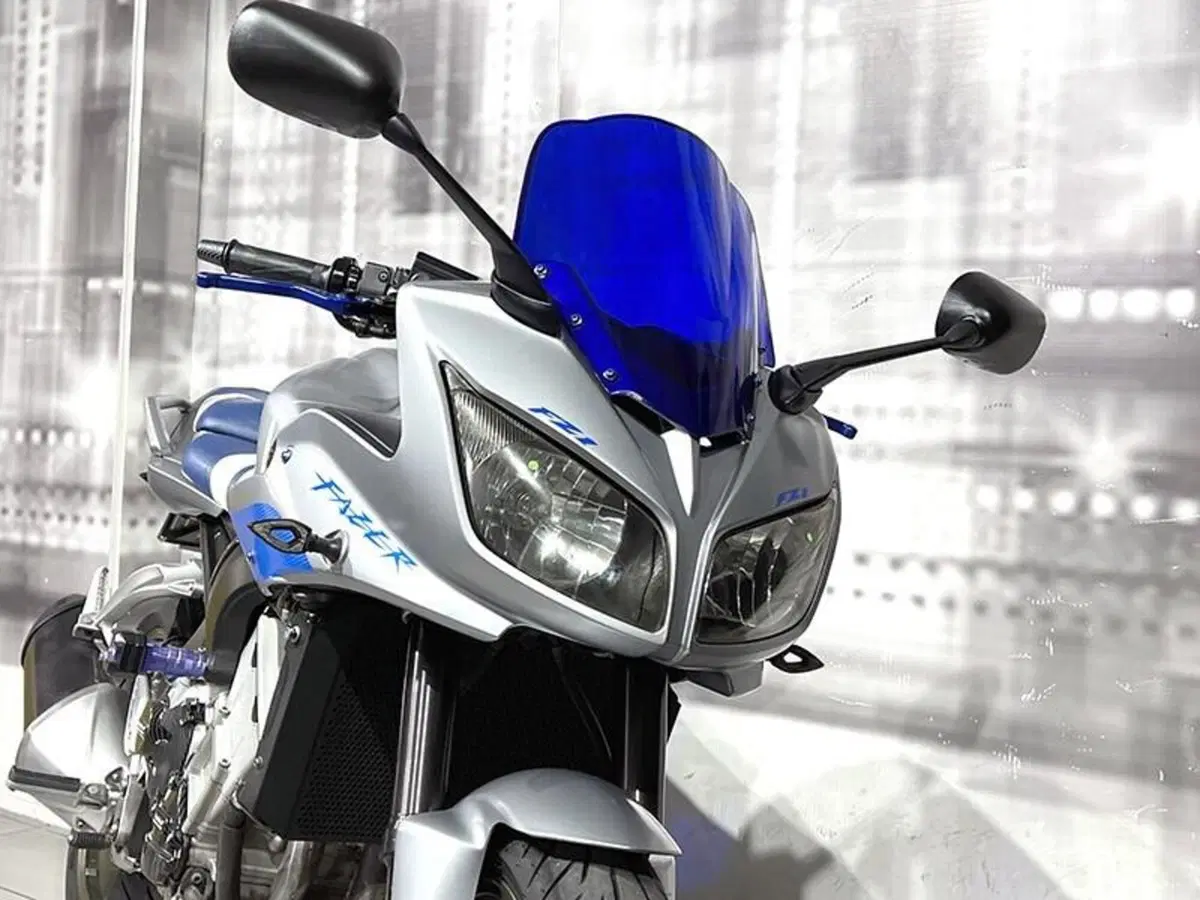 Yamaha FZ1 Fazer (2006 - 16) (9)