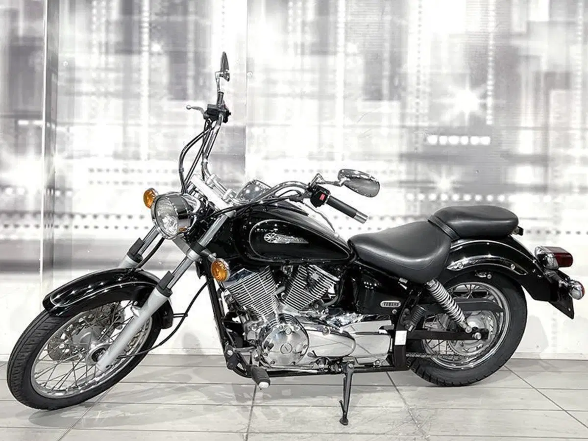 Yamaha XVS 125 Drag Star (7)