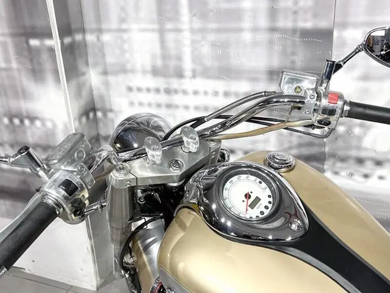Yamaha XVZ 1300 Royal Star (1996 - 02) (6)
