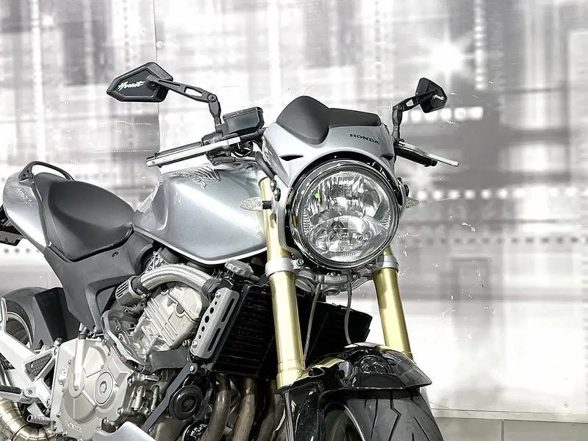 Honda Hornet 600 (2005 - 06) (9)