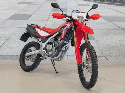 Honda CRF 300L (2025 - 26) usata