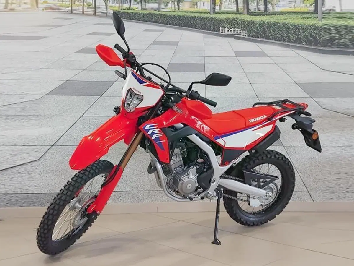 Honda CRF 300L (2025 - 26) (2)