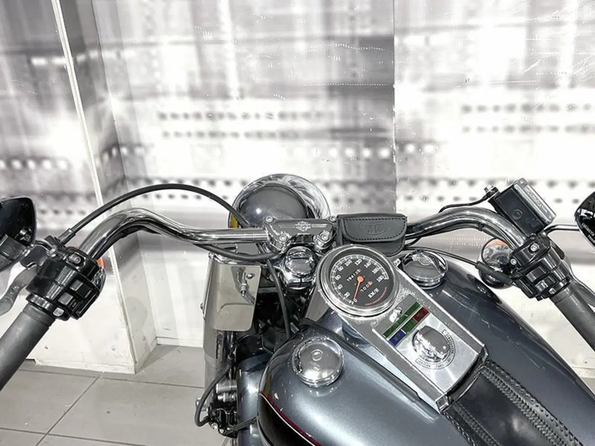 Harley-Davidson 1340 Heritage Special (1993 - 96) (6)