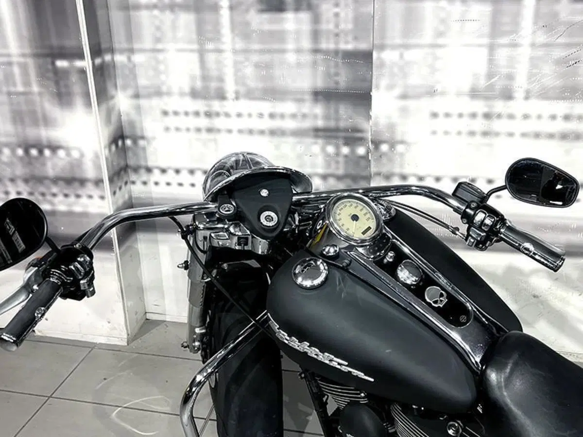 Harley-Davidson 1450 Road Glide (1999 - 06) (6)