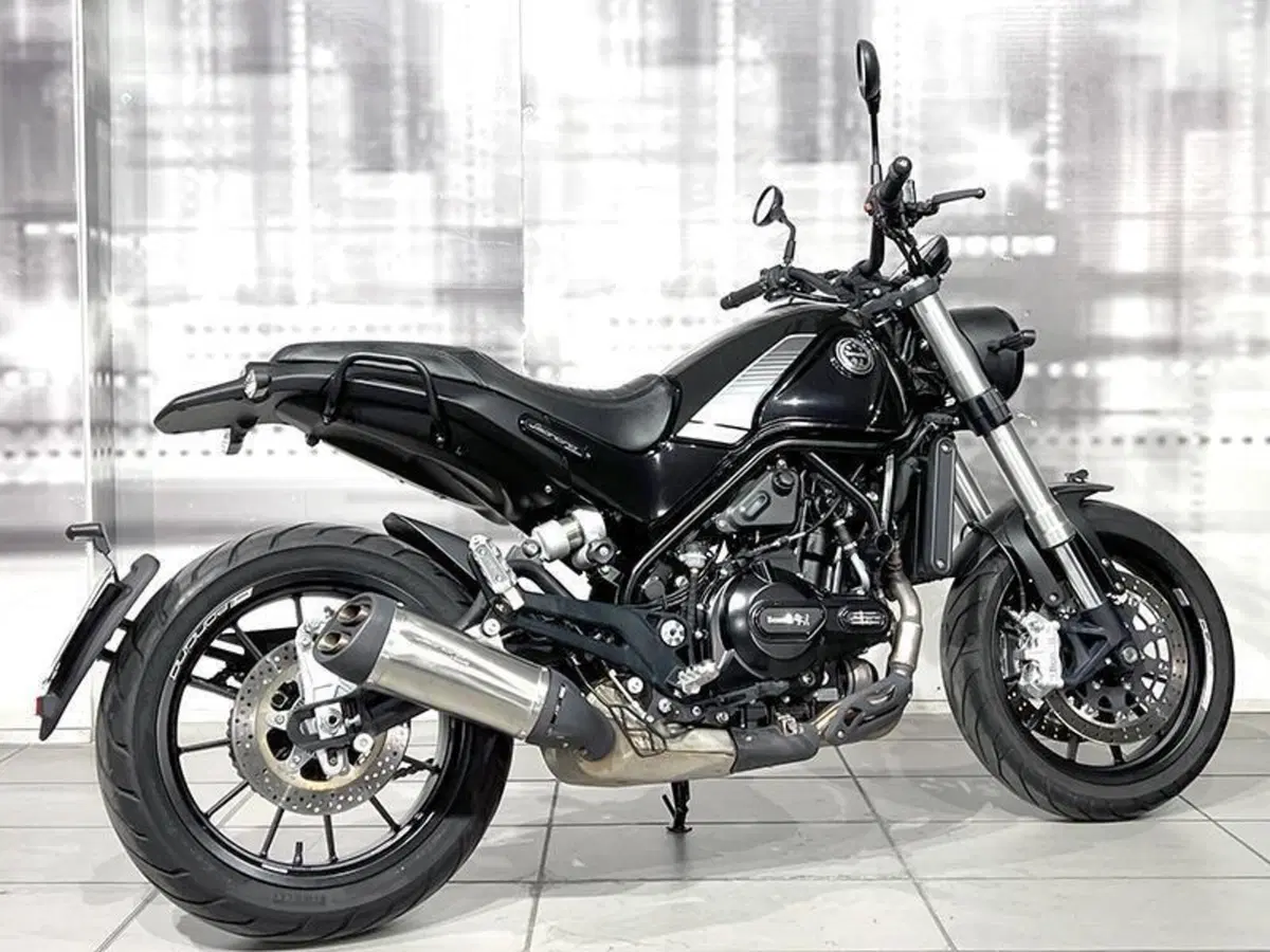 Benelli Leoncino 500 (2021 - 25) (8)