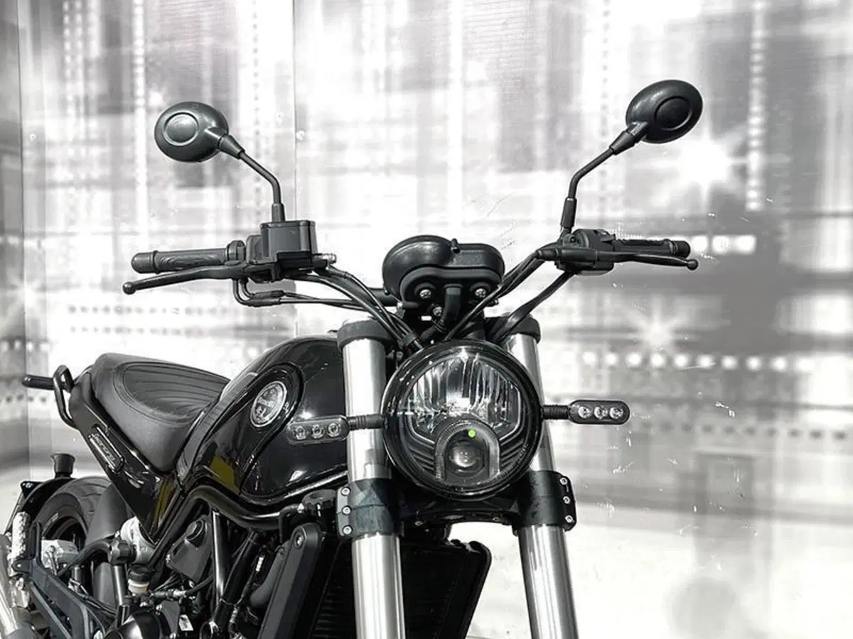 Benelli Leoncino 500 (2021 - 25) (9)