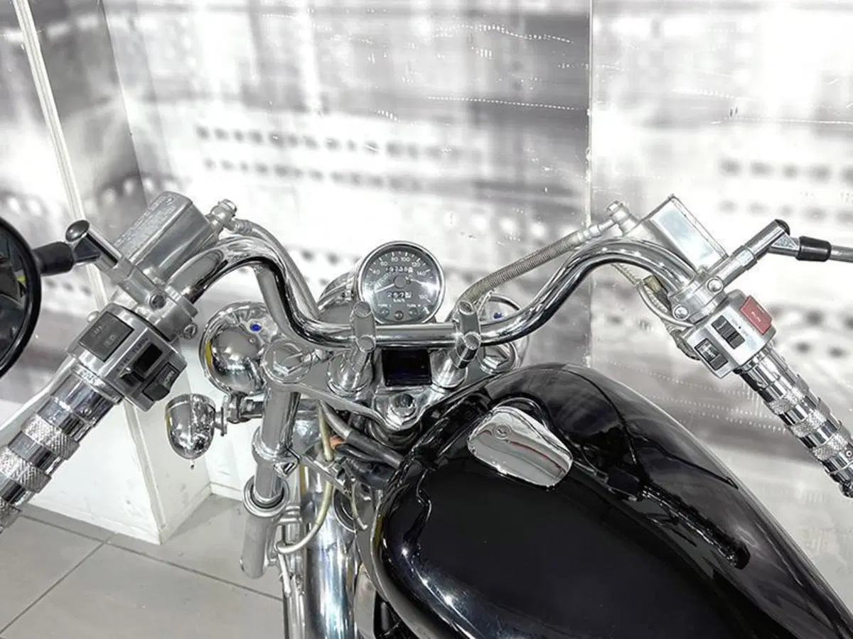 Suzuki VS 800 GL (1992 - 98) (6)