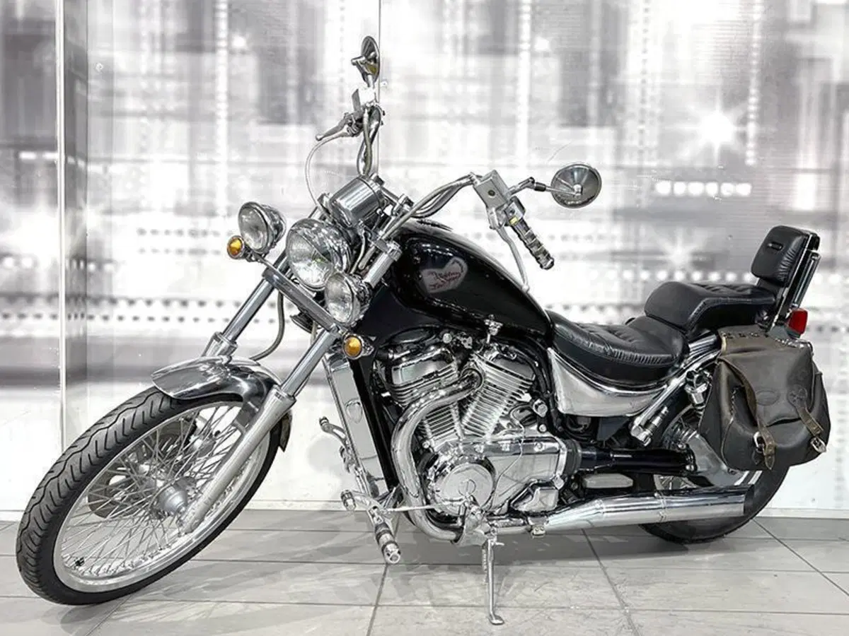 Suzuki VS 800 GL (1992 - 98) (7)