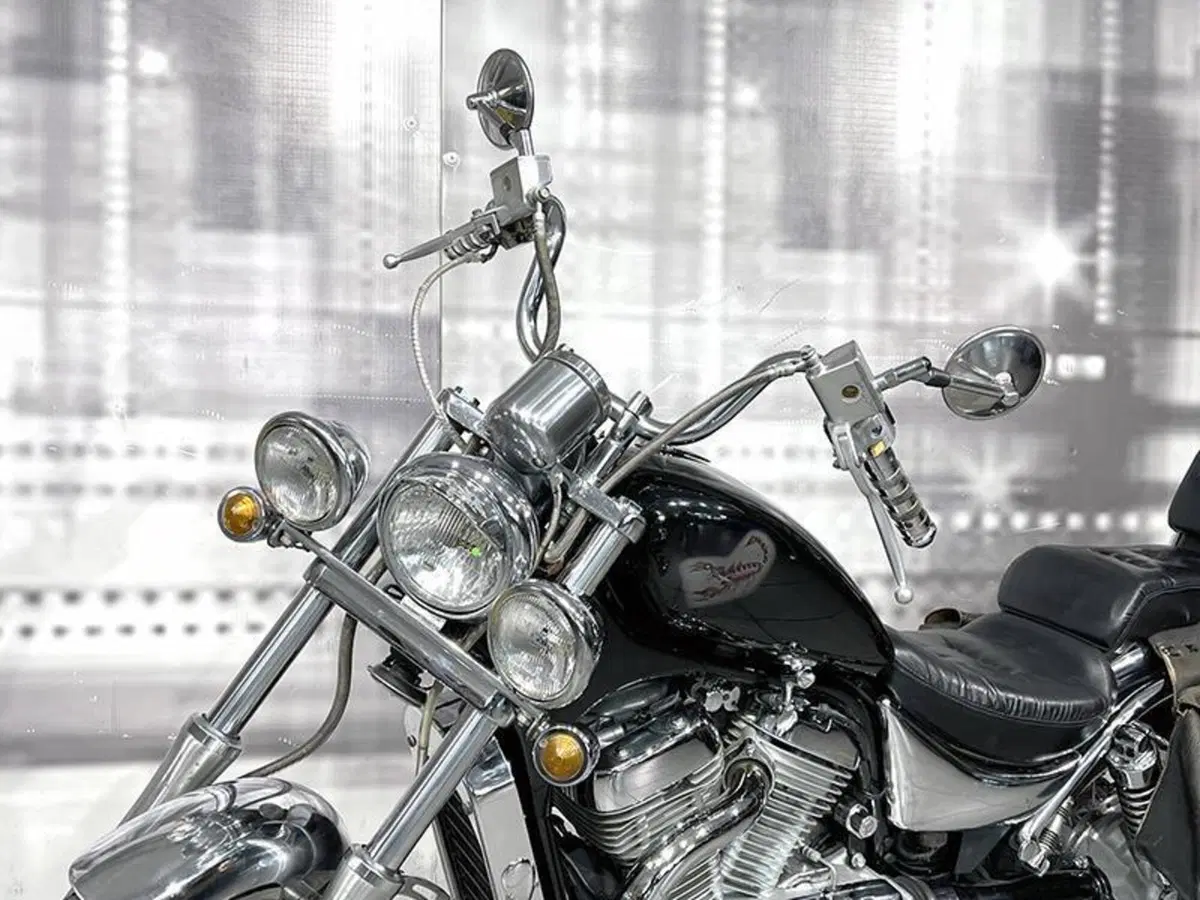 Suzuki VS 800 GL (1992 - 98) (9)