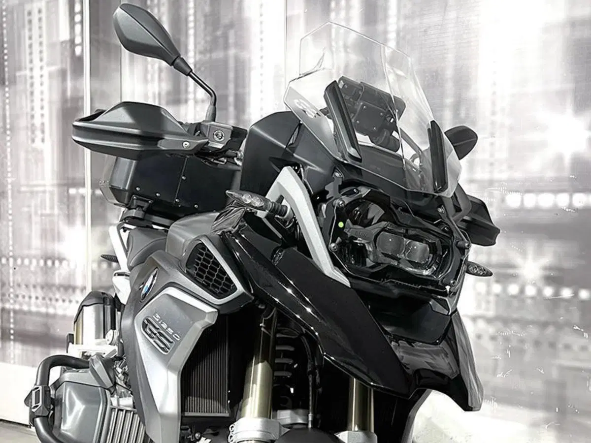 Bmw R 1250 GS (2019 - 20) (9)