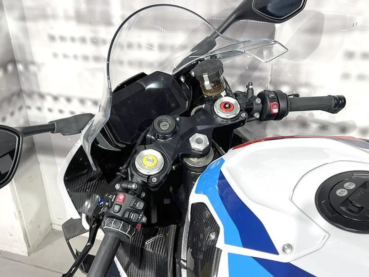 Bmw M 1000 RR (2021 - 22) (6)
