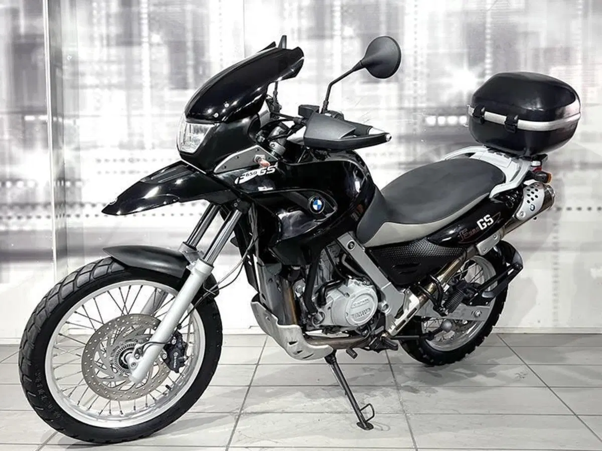 Bmw F 650 GS (2004 - 07) (7)