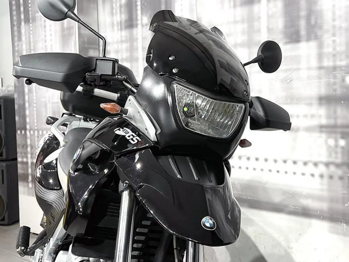 Bmw F 650 GS (2004 - 07) (9)