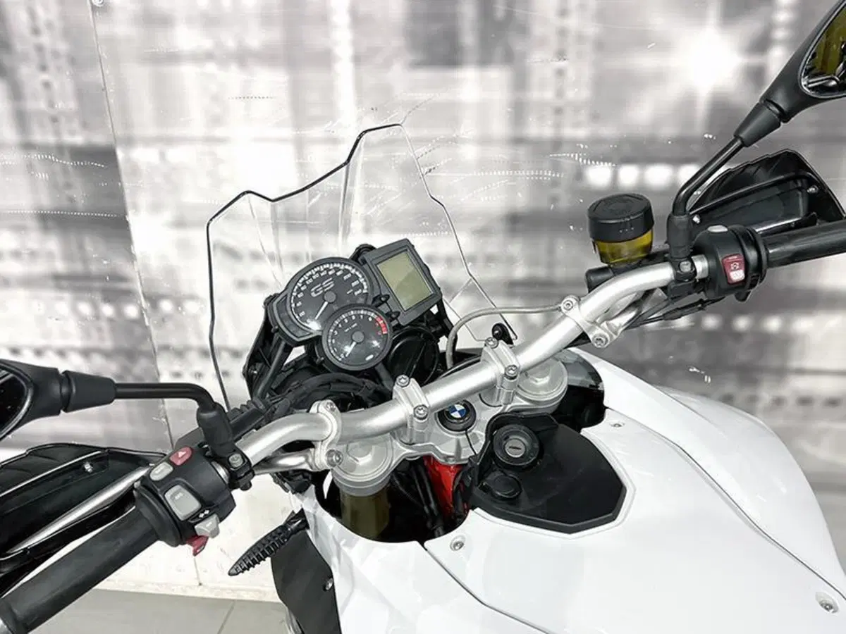Bmw F 800 GS (2008 - 15) (6)