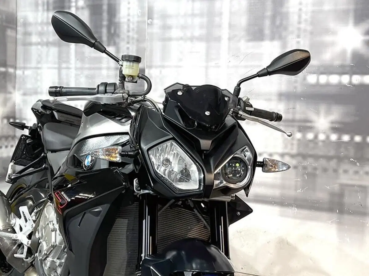 Bmw S 1000 R (2014 - 16) (9)