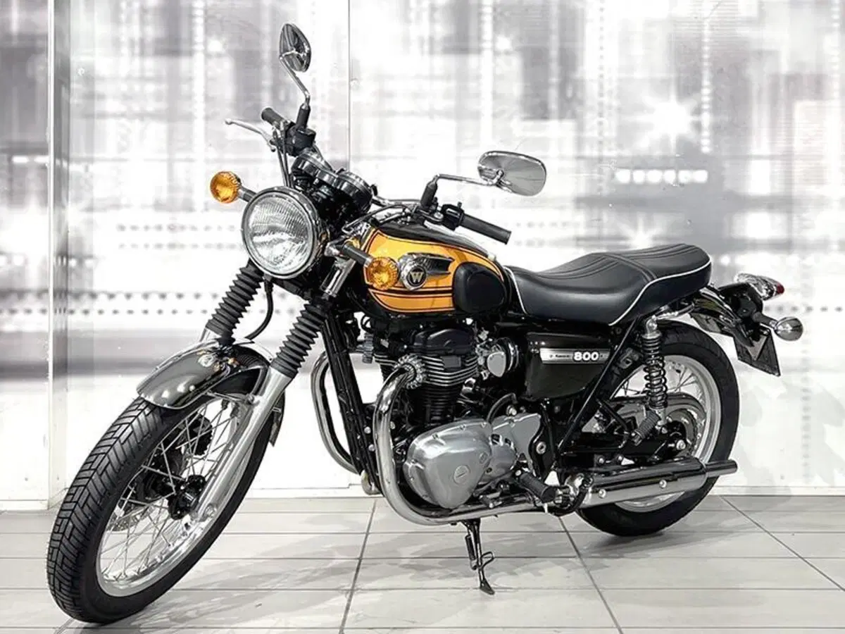 Kawasaki W 800 (2010 - 17) (6)