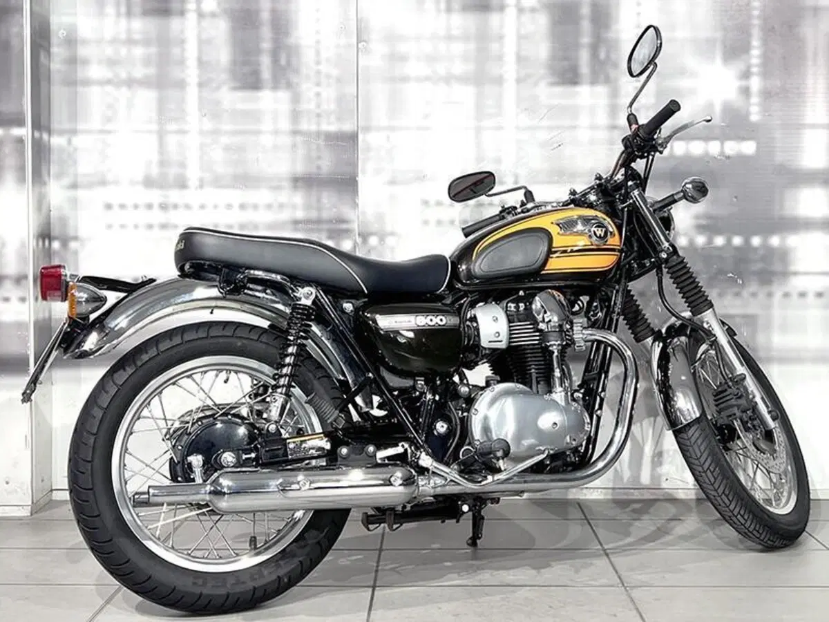 Kawasaki W 800 (2010 - 17) (7)